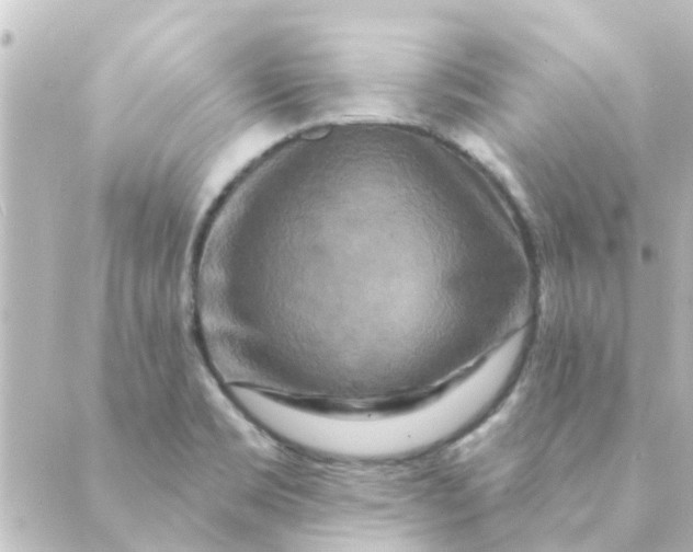 X0000088881469200706221802