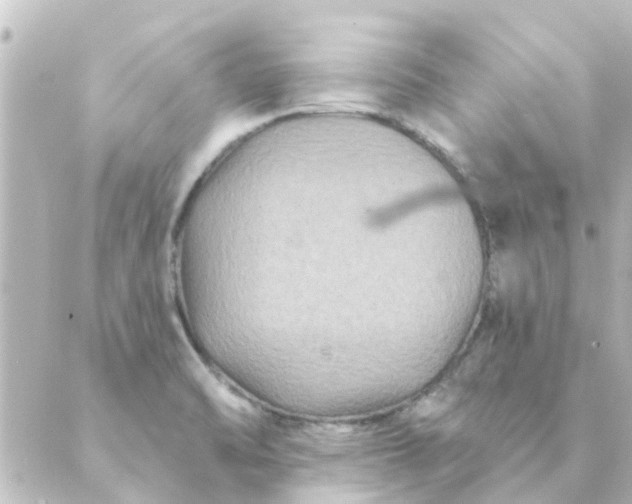 X0000088881470200706221802