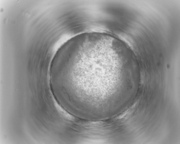 X0000088881471200706221802