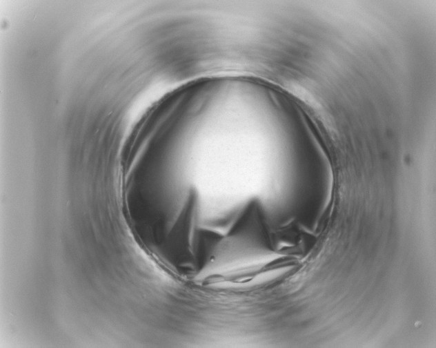 X0000088881472200706221802