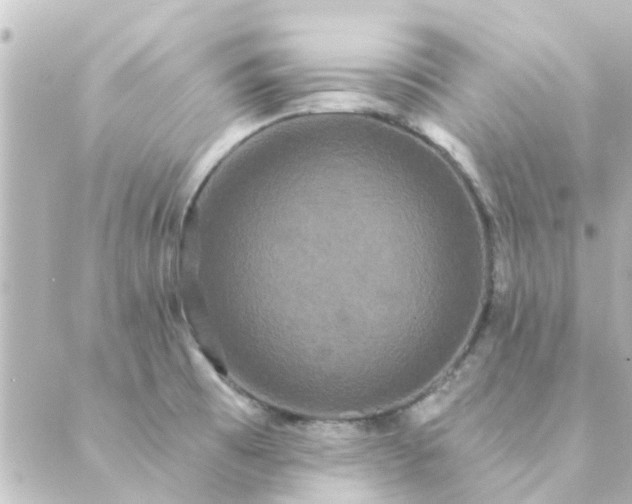 X0000088881473200706221802