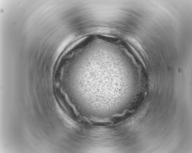 X0000088881475200706221802