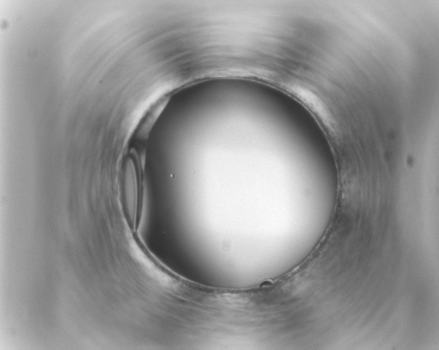 X0000088881476200706221802