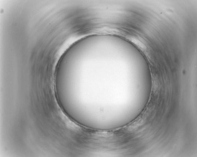 X0000088881478200706221802