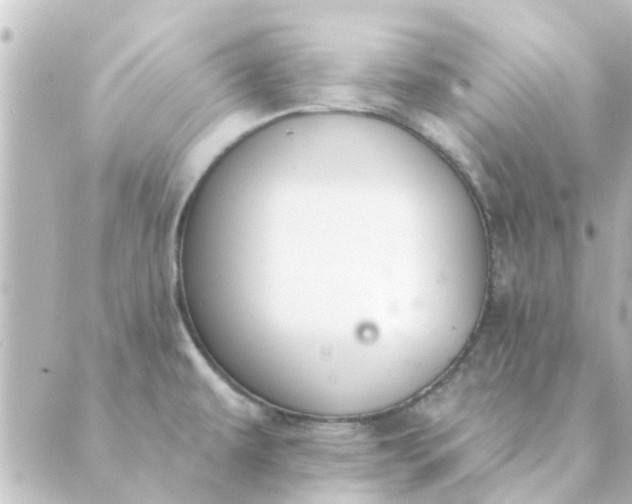 X0000088881479200706221802