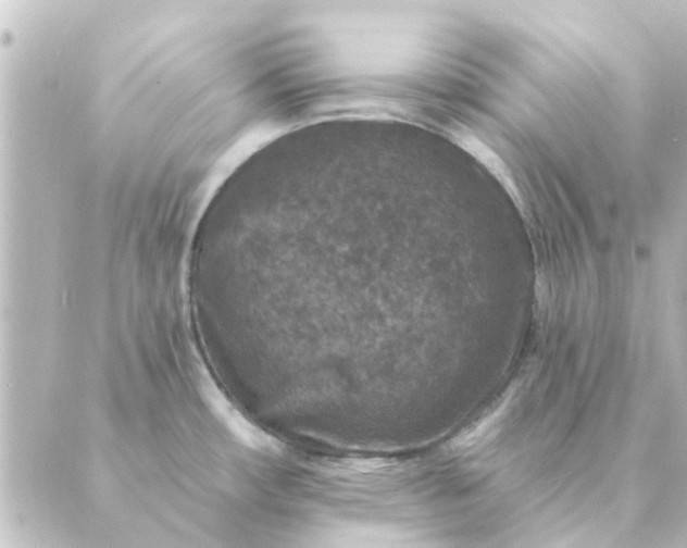 X0000088881482200706221802