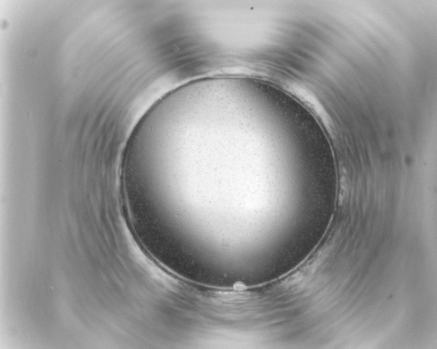 X0000088881483200706221802