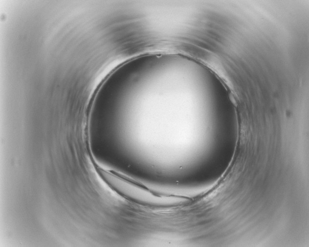 X0000088881484200706221802