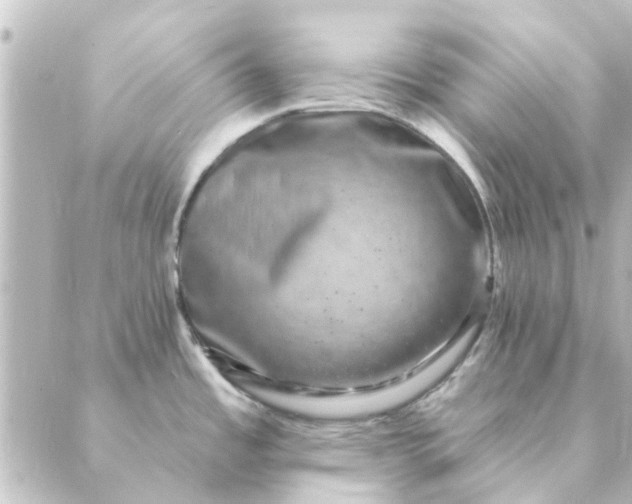 X0000088881485200706221802