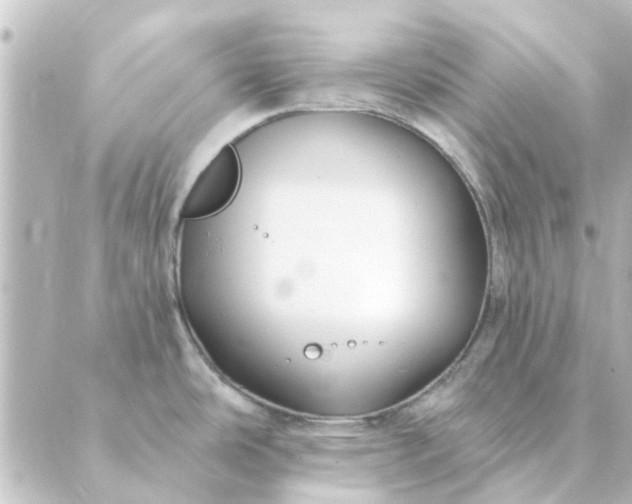 X0000088881486200706221802