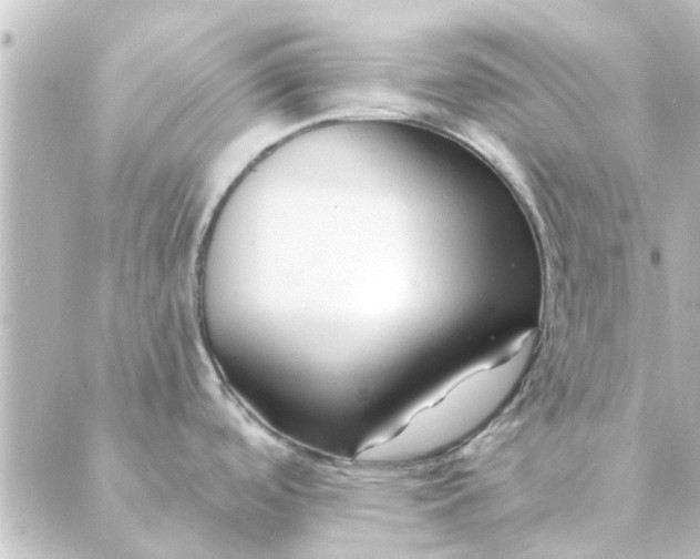 X0000088881488200706221802