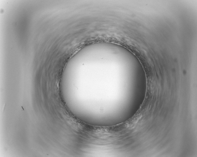 X0000088881489200706221801