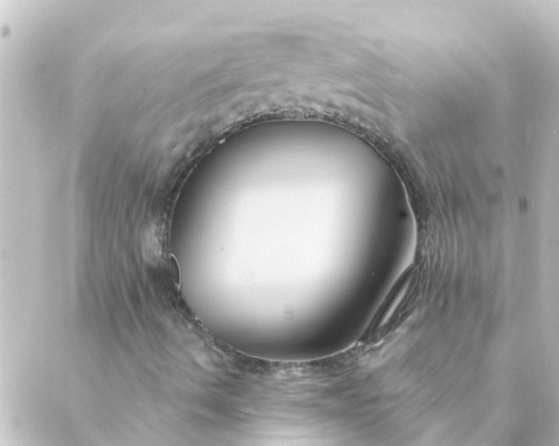 X0000088881490200706221801