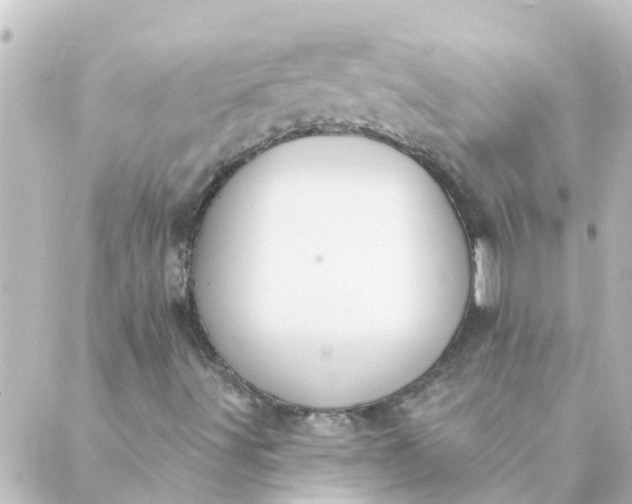 X0000088881491200706221801