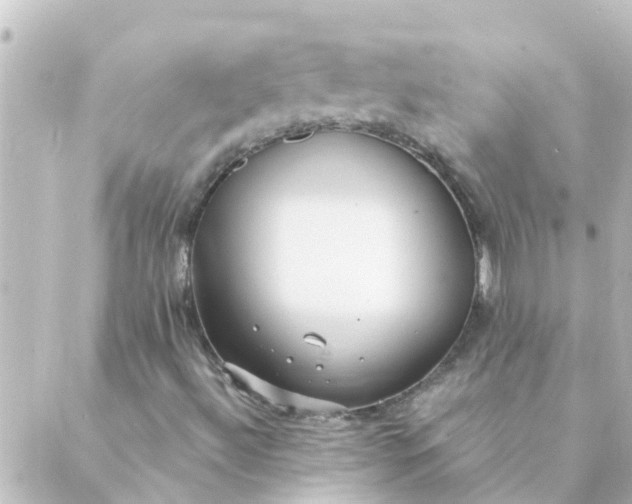 X0000088881492200706221801