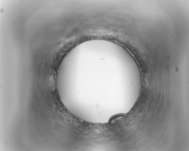 X0000088881493200706221801