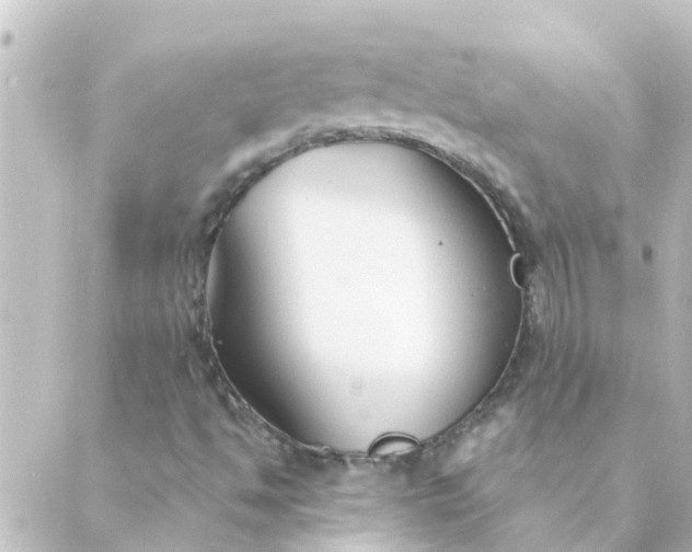 X0000088881494200706221801