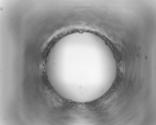 X0000088881495200706221801