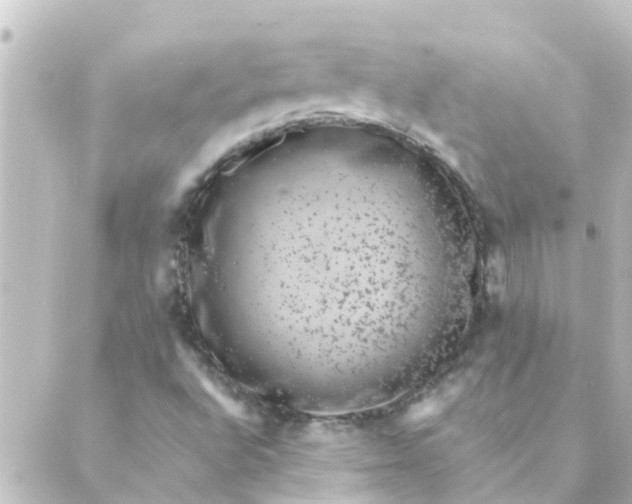 X0000088881496200706221801