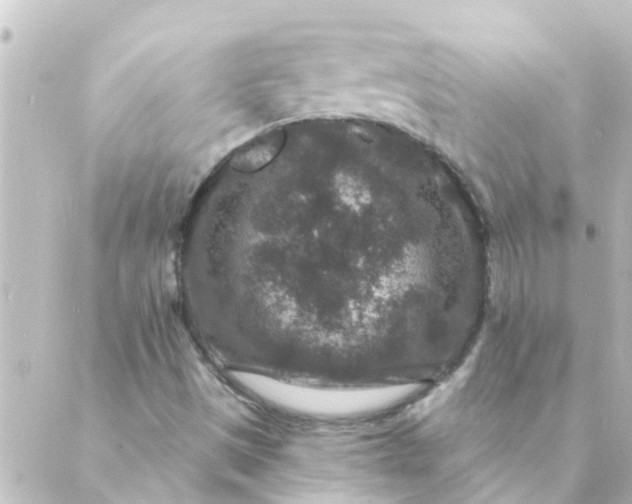 X0000088881497200706221801