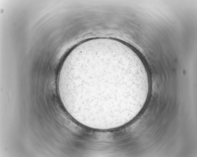 X0000088881498200706221801