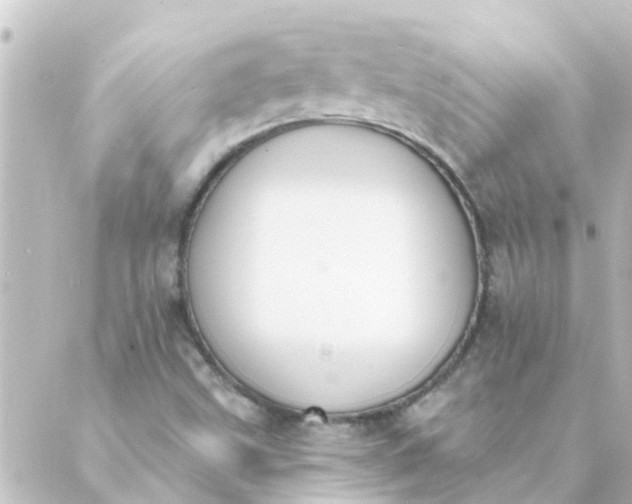 X0000088881499200706221801