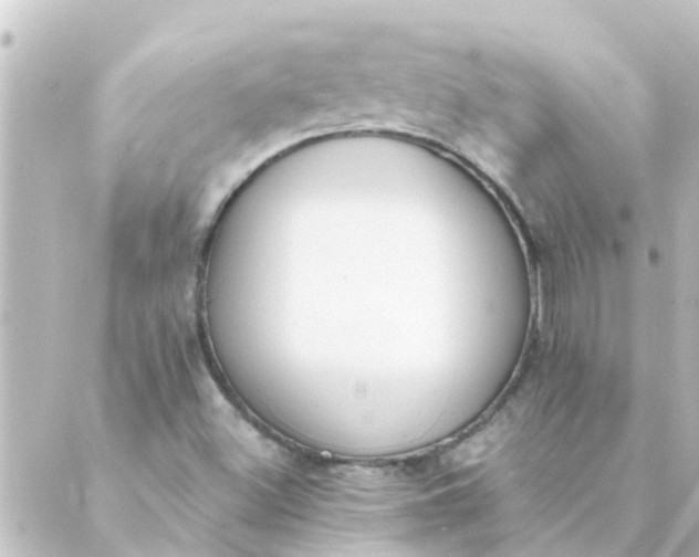 X0000088881500200706221801