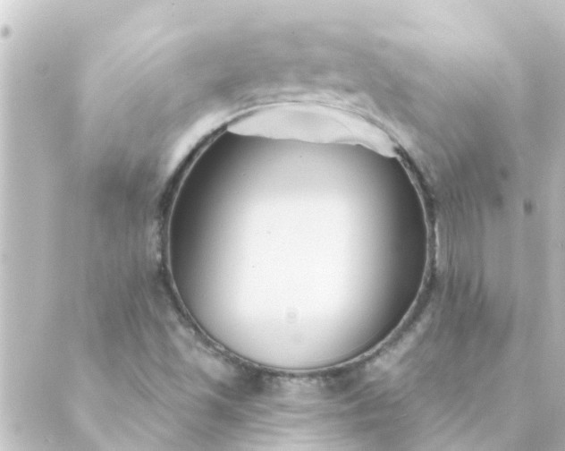 X0000088881501200706221801