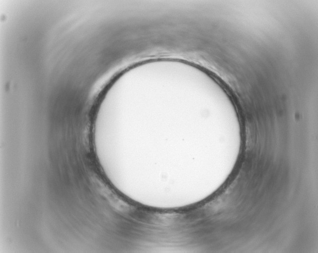 X0000088881502200706221801