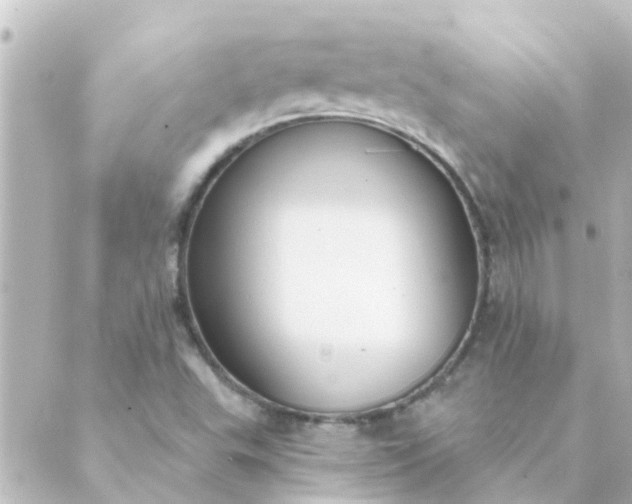 X0000088881503200706221801