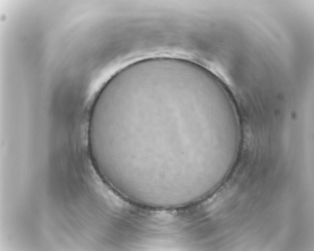 X0000088881504200706221801