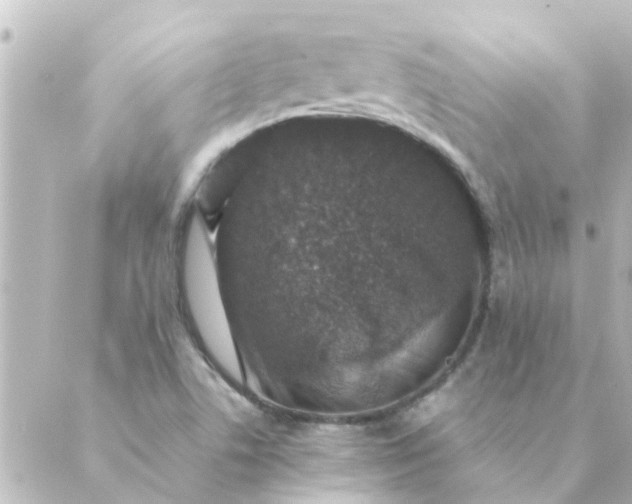 X0000088881506200706221801