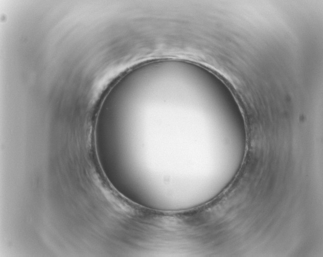 X0000088881507200706221801