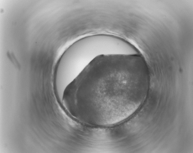 X0000088881508200706221801