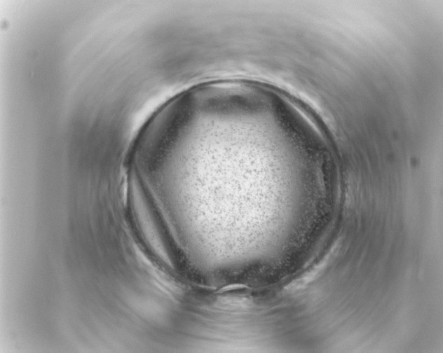 X0000088881509200706221801