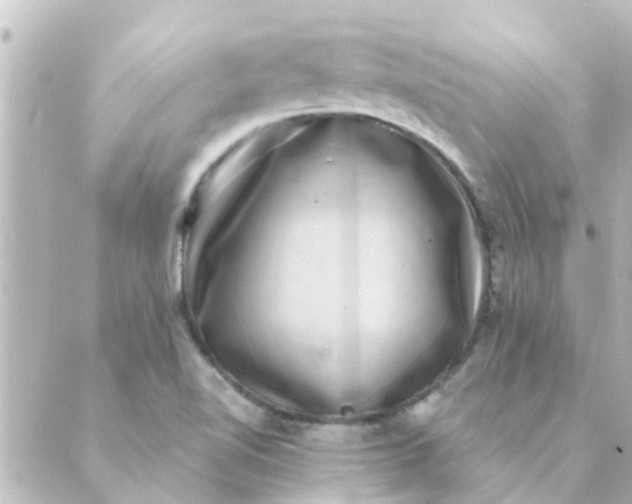 X0000088881510200706221802