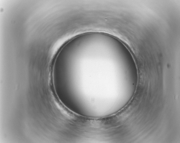 X0000088881511200706221802