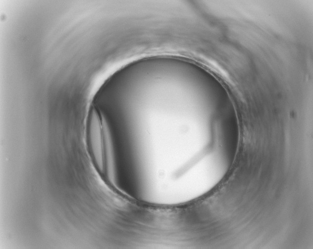 X0000088881512200706221802