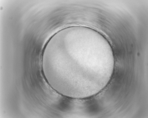 X0000088881514200706221802