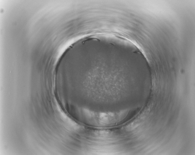 X0000088881515200706221802