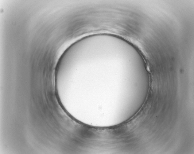 X0000088881516200706221802