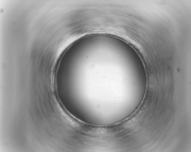 X0000088881517200706221802