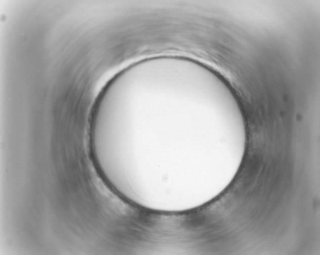 X0000088881518200706221802