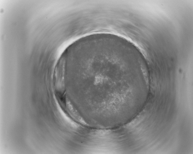 X0000088881519200706221802