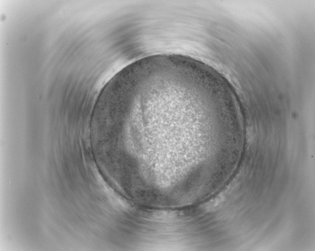 X0000088881521200706221802