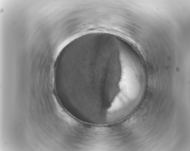 X0000088881522200706221802