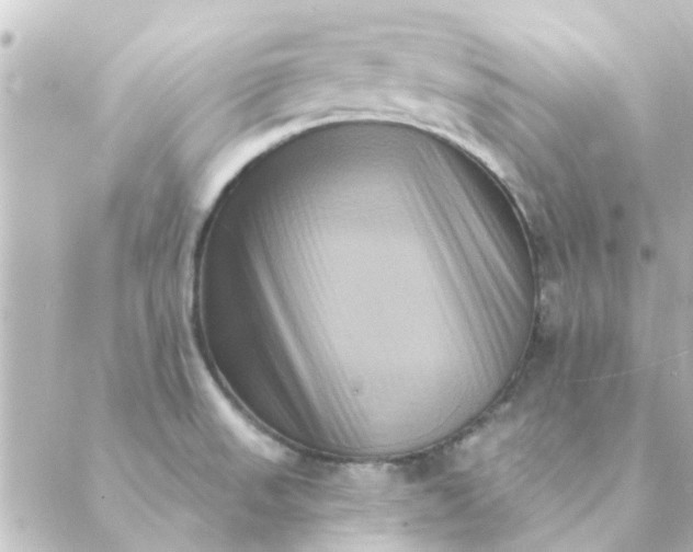 X0000088881523200706221802