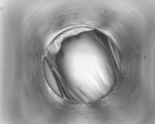 X0000088881524200706221802