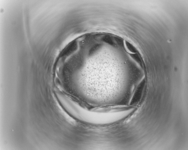 X0000088881525200706221802