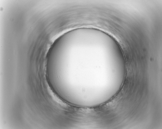 X0000088881526200706221802